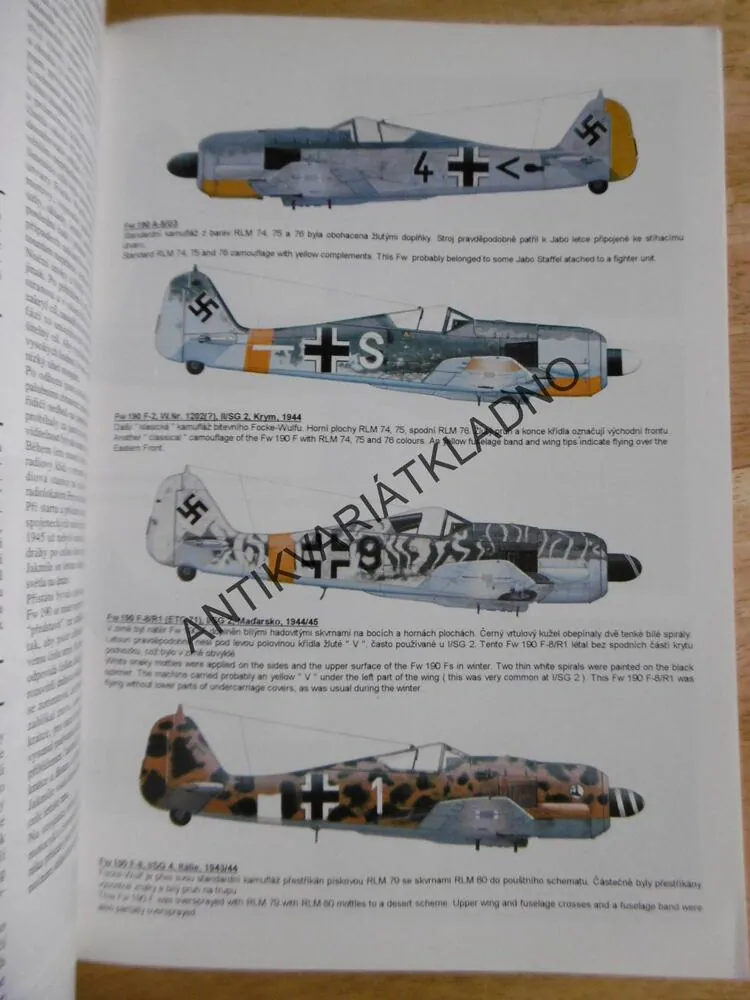 FOCKE-WULF FW 190 F,G