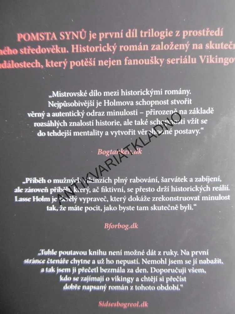 VIKINGOVÉ, POMSTA SYNŮ, LASSE HOLM, 2019, **an