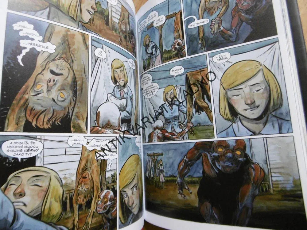 POCHMURNÝ KRAJ, ZRCADLENÍ, CULLEN BUNN, TYLER CROOK, KOMIKS