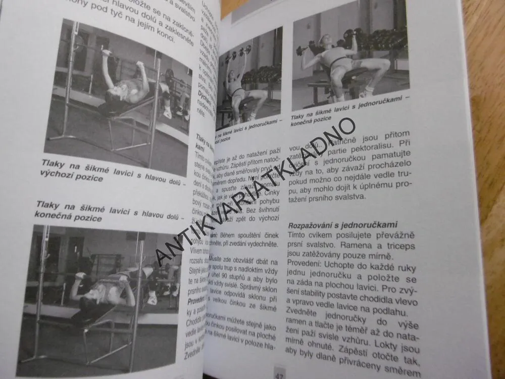 KULTURISTIKA PRO ŽENY, FORMOVÁNÍ POSTAVY SVALOVÝM TRÉNINKEM, WANGHOFER