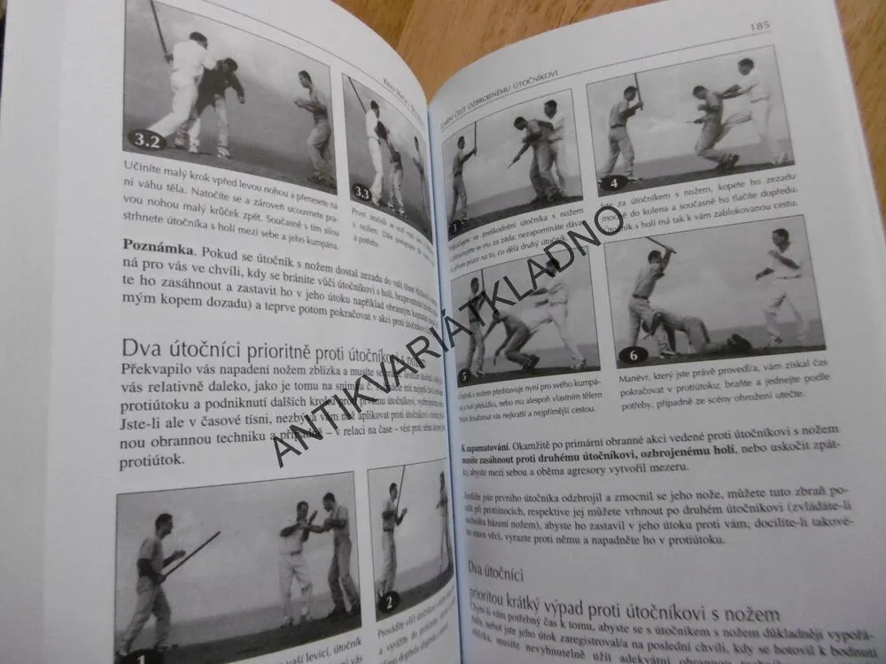 KRAV MAGA, UMĚNÍ ČELIT OZBROJENÉMU ÚTOČNÍKOVI, EYAL YANILOV