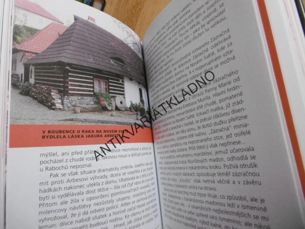 PRAHOU S OTEVŘENÝMA OČIMA,1., IVANA MUDROVÁ,