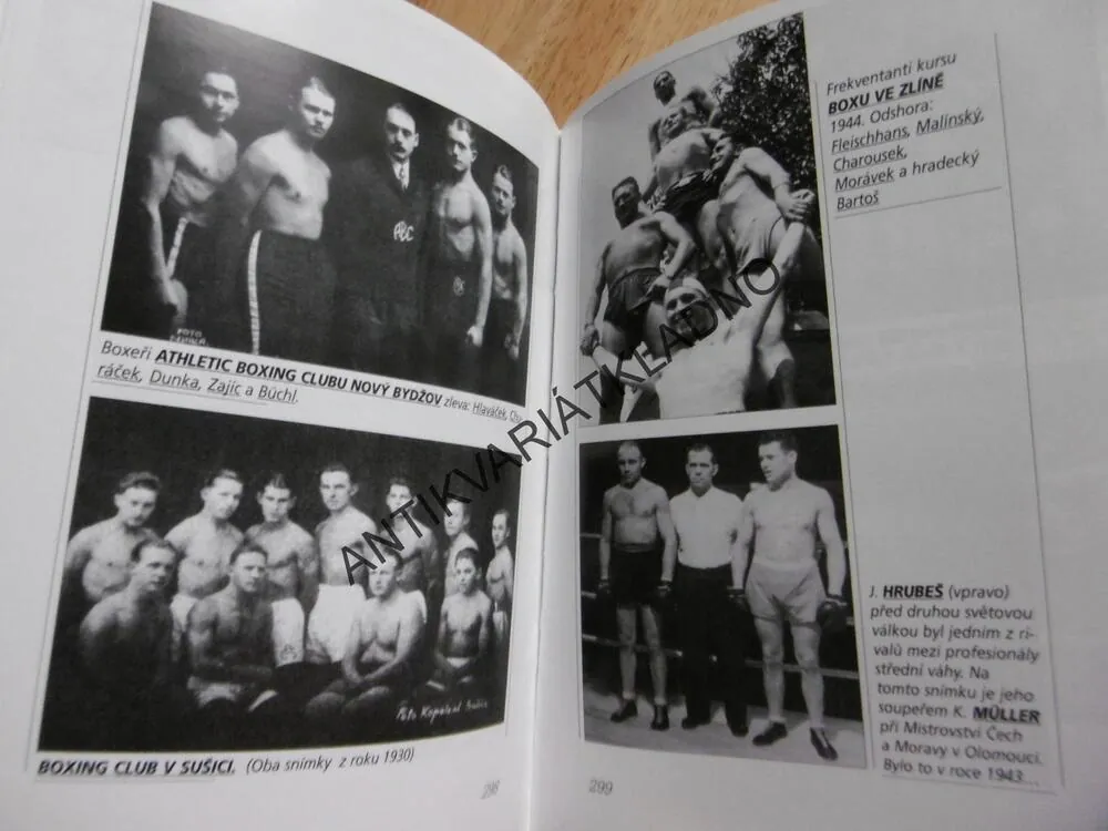ZLATÉ RUKAVICE,ČERNOCH, HÁJEK, KALÁT,SPORT BOX, 