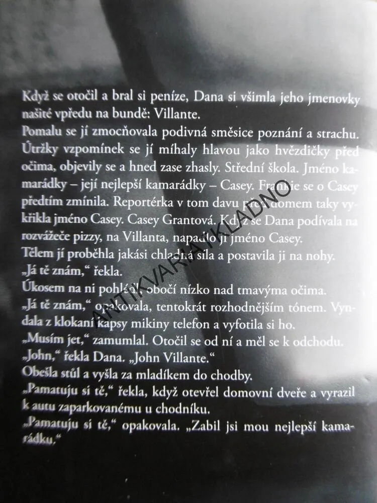 LEDOVÉ SRDCE, TAMI HOAG, **an