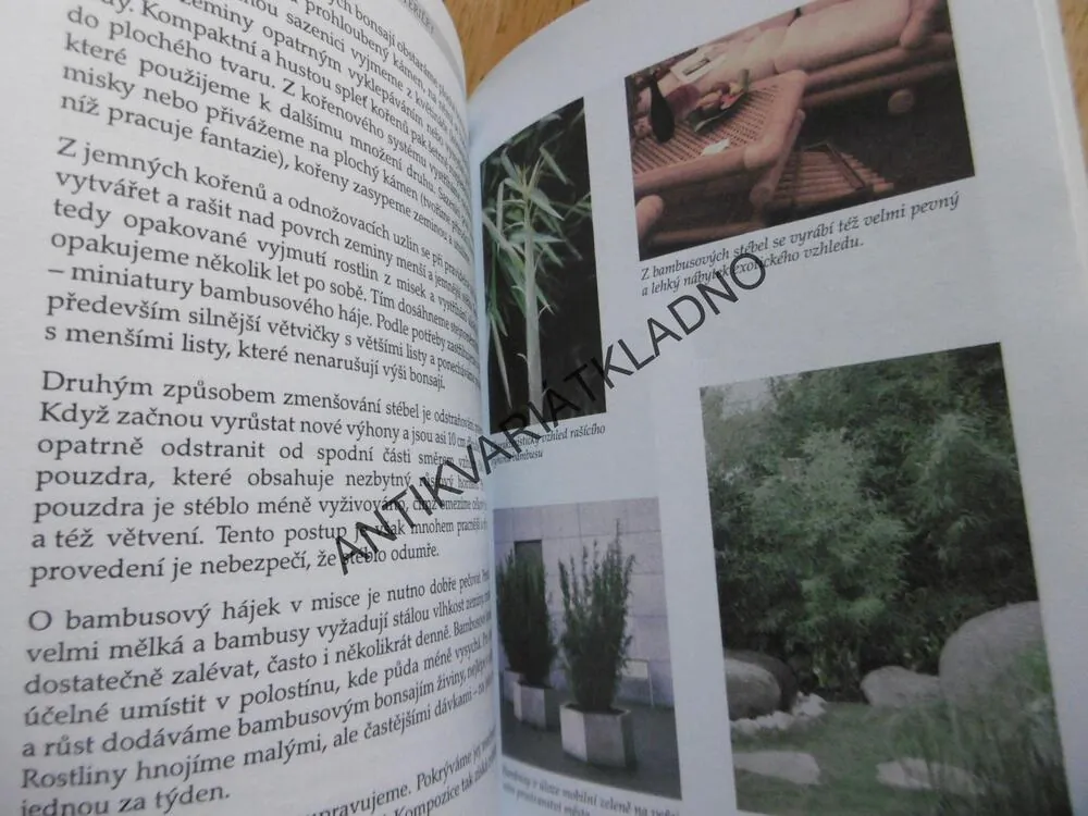 BAMBUSY PRO ZAHRADY A INTERIÉRY, KASTNER, JAN ONDŘEJ, 