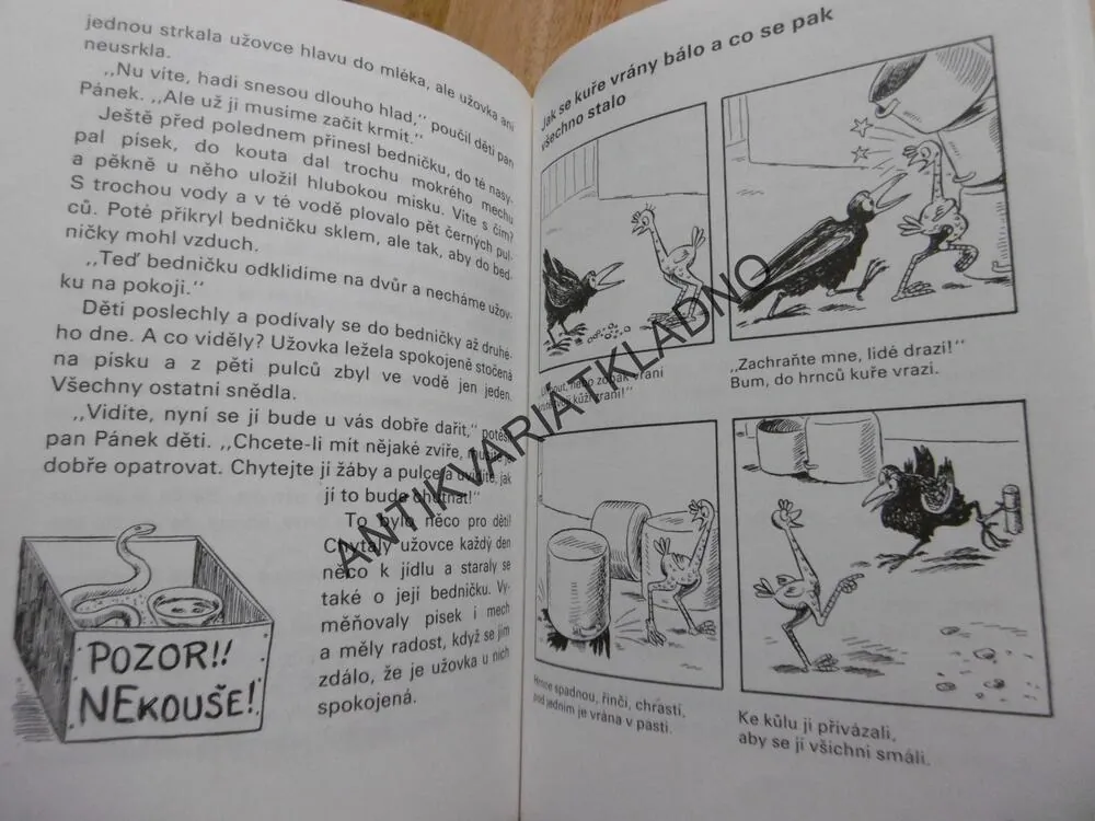 KUŘE NAPIPI A JEHO PŘÁTELÉ, SEKORA, 1973, **an