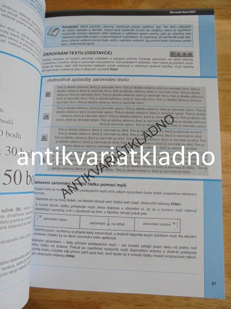 S POČÍTAČEM NEJEN K MATURITĚ, POJMY, HARDWARE,INTERNET