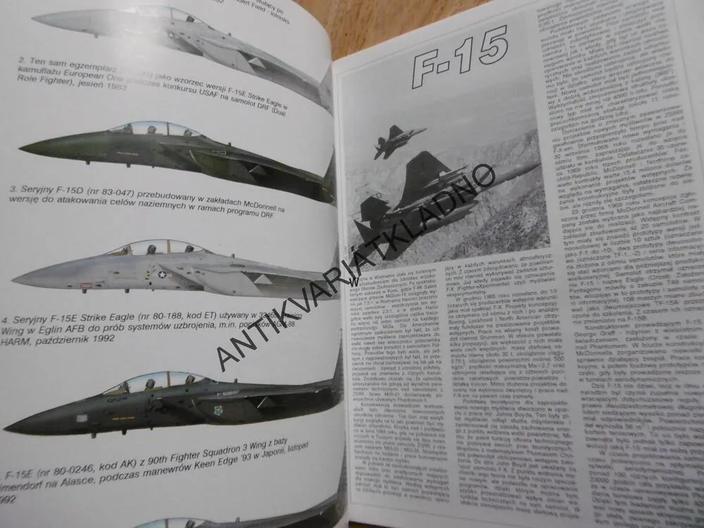 F-15, STÍHAČKA, LETADLO, POLSKY