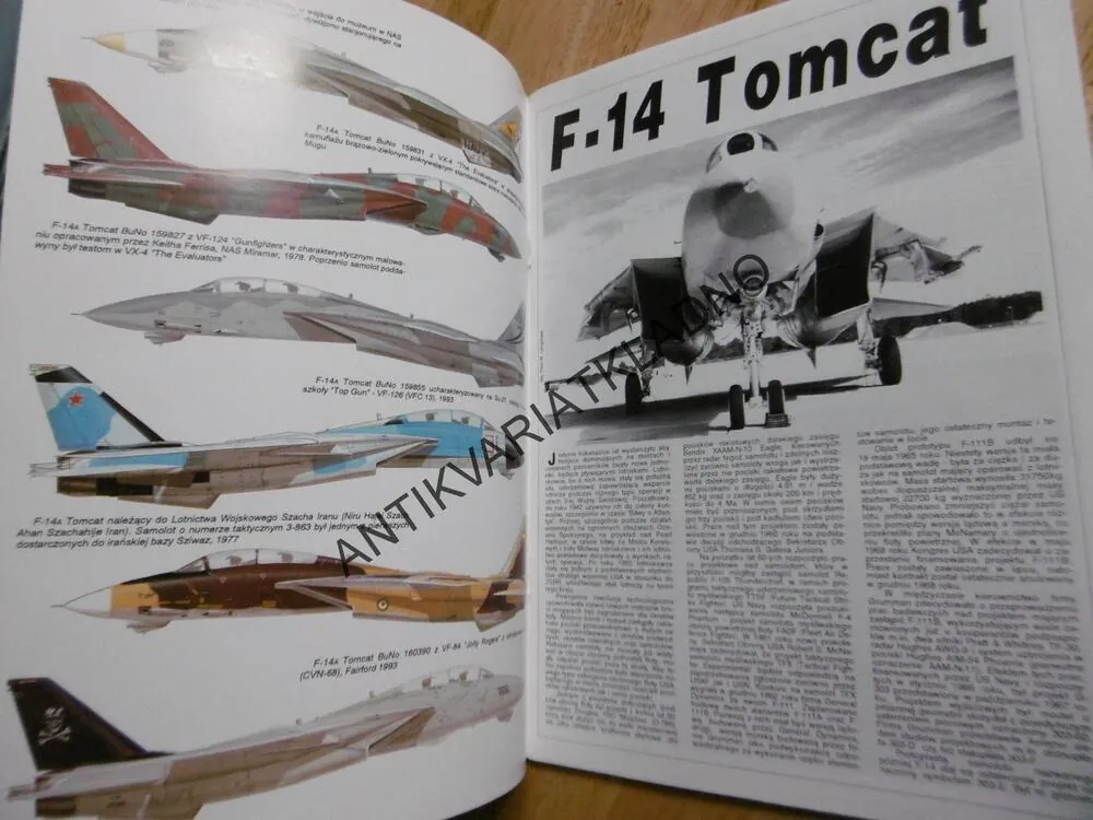 F-14, STÍHAČKA, LETADLO, POLSKY
