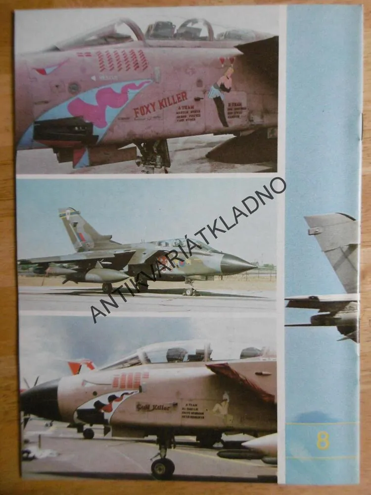 TORNADO IDS, STÍHAČKA, LETADLO, POLSKY