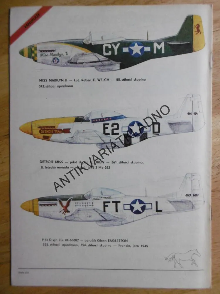 MUSTANG P-51D, AERO TEAM 1., PRO MODELÁŘE, LETADLO,