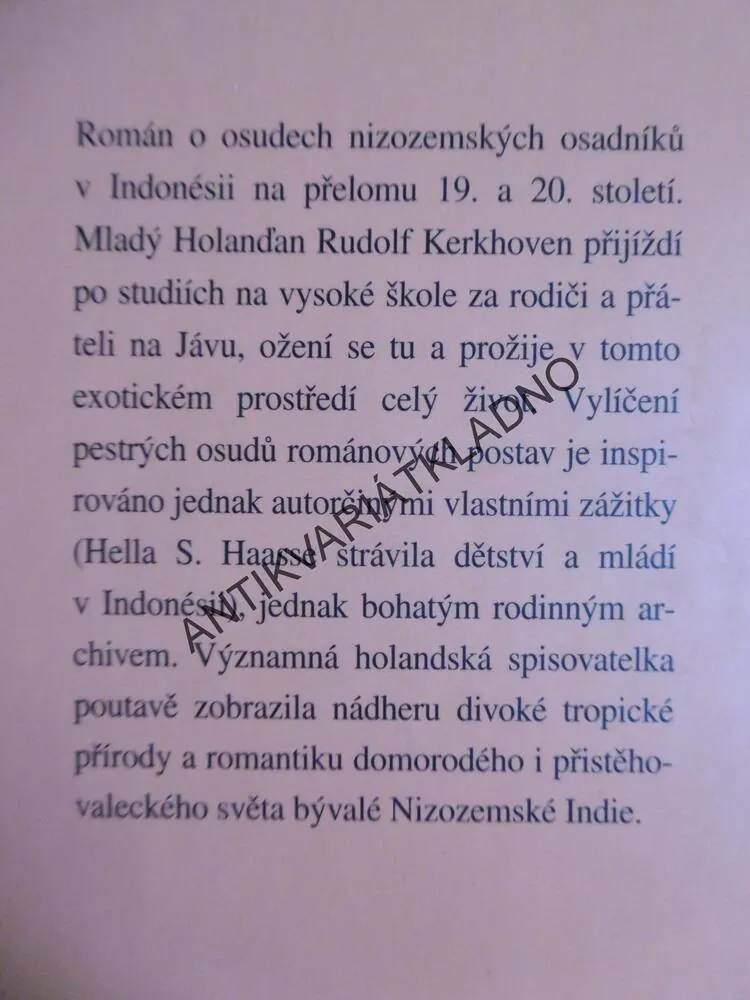 PÁNI ČAJOVÝCH PLANTÁŽÍ, HELLA S. HAASSE, RODINNÁ SÁGA, **an