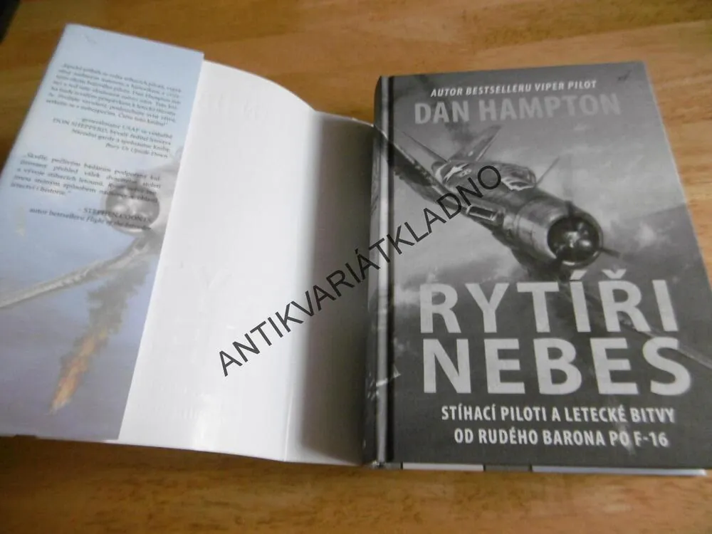 RYTÍŘI NEBES, DAN HAMPTON, STÍHACÍ PILOTI