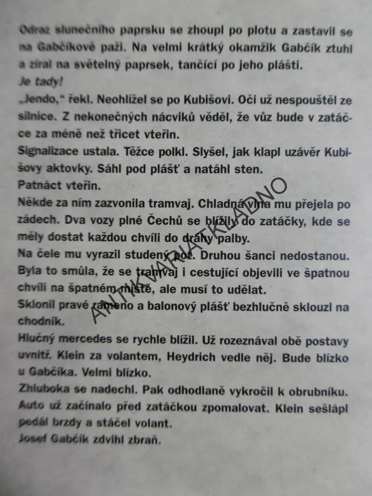 DVA PROTI ŘÍŠI, JIŘÍ ŠULC,**an