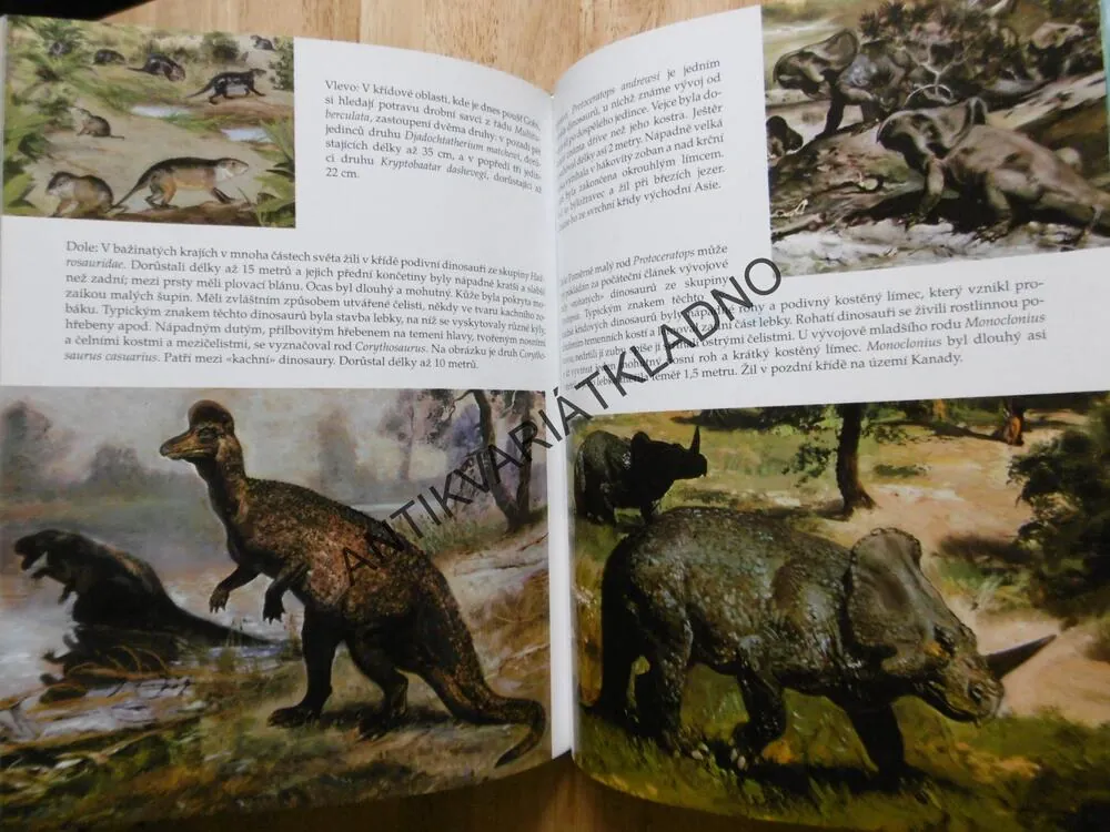VELKÁ KNIHA O PRAVĚKU, ŠPINAR, ZDENĚK BURIAN, **an