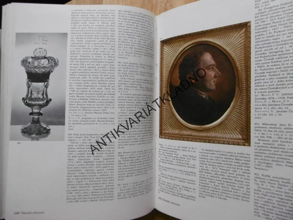 PAMÁTKY NÁRODNÍ MINULOSTI, KOČÍ, VLASTIMIL VONDRUŠKA, **an