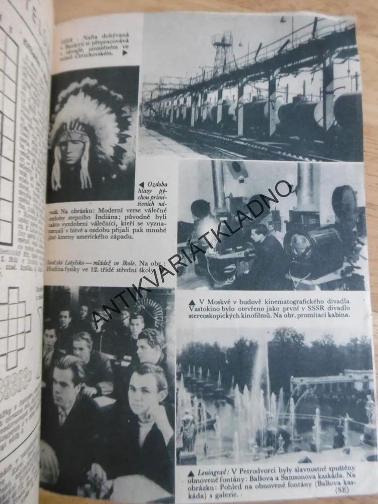 BÍLÝ TESÁK, JACK LONDON,