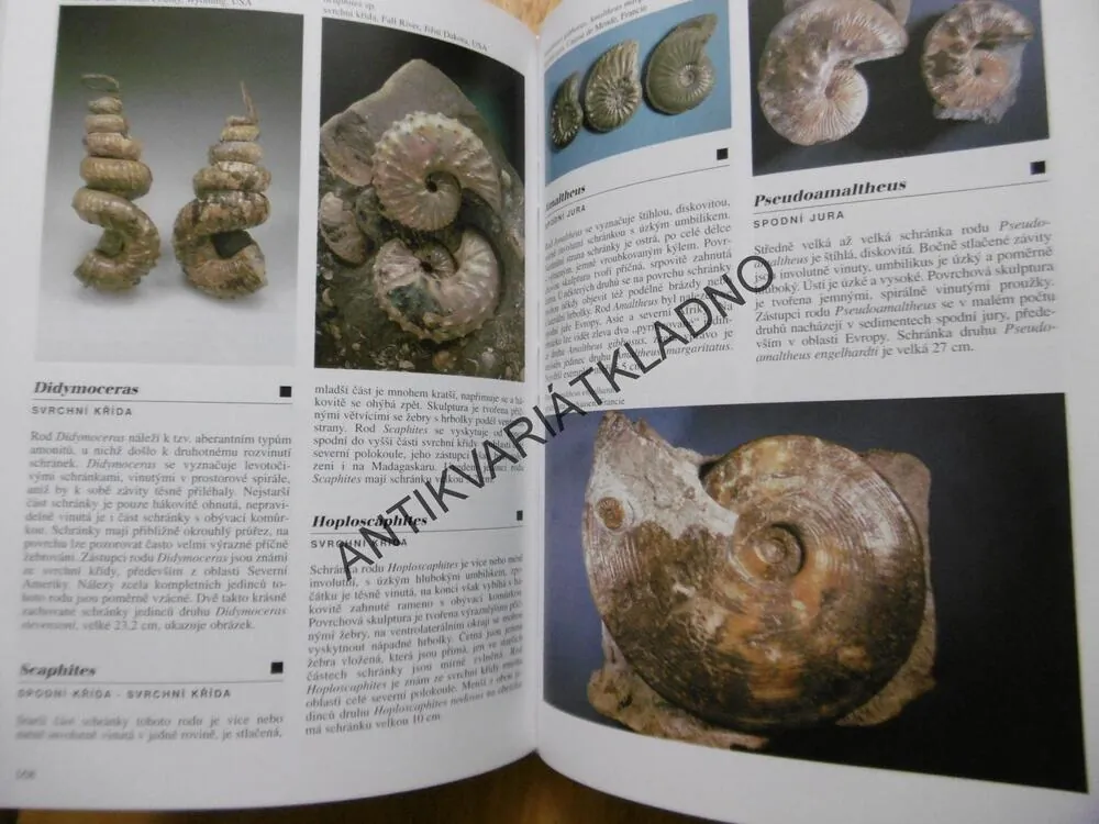 ENCYKLOPEDIE ZKAMENĚLIN, IVANOV, HRDLIČKOVÁ, GREGOROVÁ