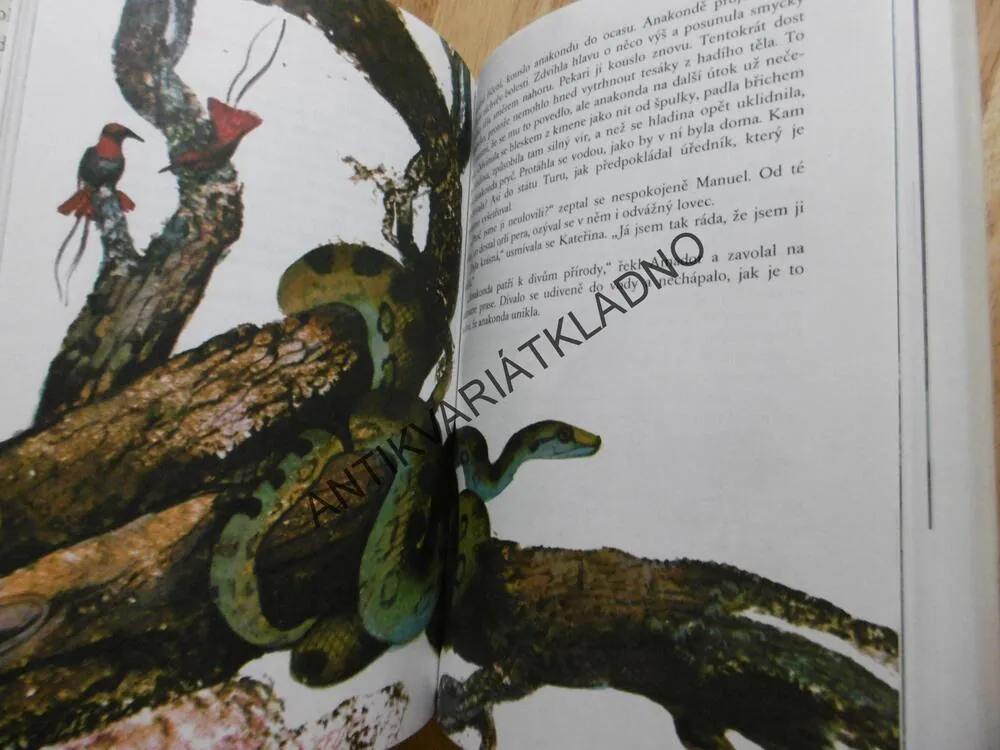 INDIÁNSKÁ ROMANCE, BOHUMIL ŘÍHA, KAREL FRANTA