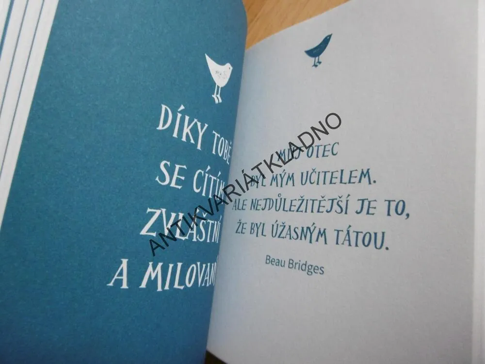PRO NEJLEPŠÍHO TATÍNKA NA SVĚTĚ, CITÁTY, **an