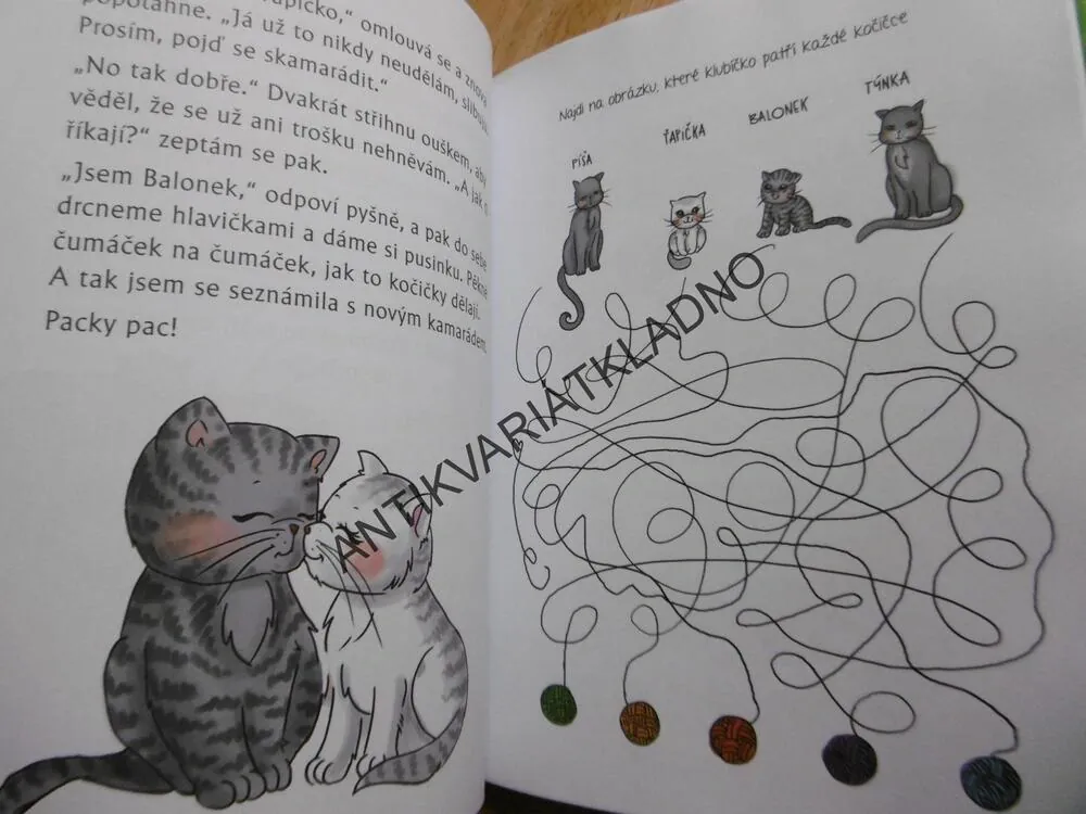 Z DENÍKU KOČIČKY ŤAPIČKY, HARASIMOVÁ, KUBÁTOVÁ
