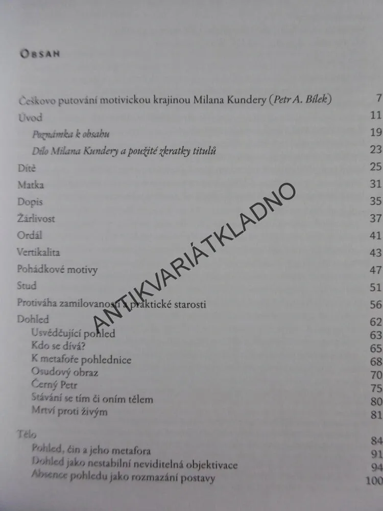 KRÁLOVSTVÍ MOTIVŮ, MOTIVICKÁ ANALÝZA ROMÁNŮ MILANA KUNDERY, ČEŠKA