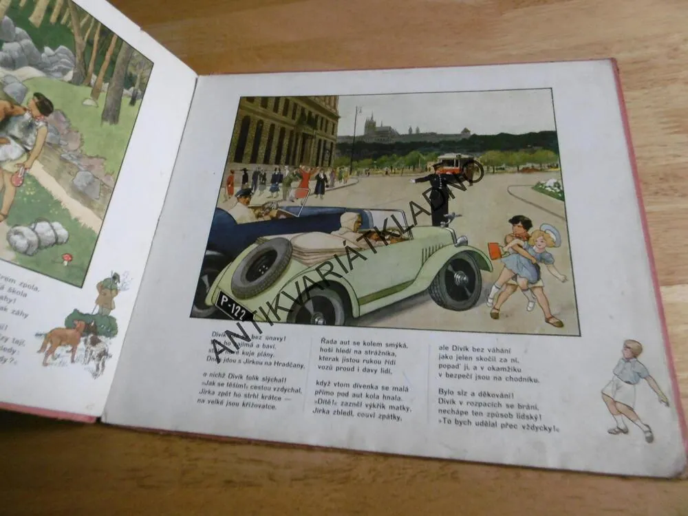DIVÍK Z LESŮ, VOLESKÁ, ARTUŠ SCHEINER