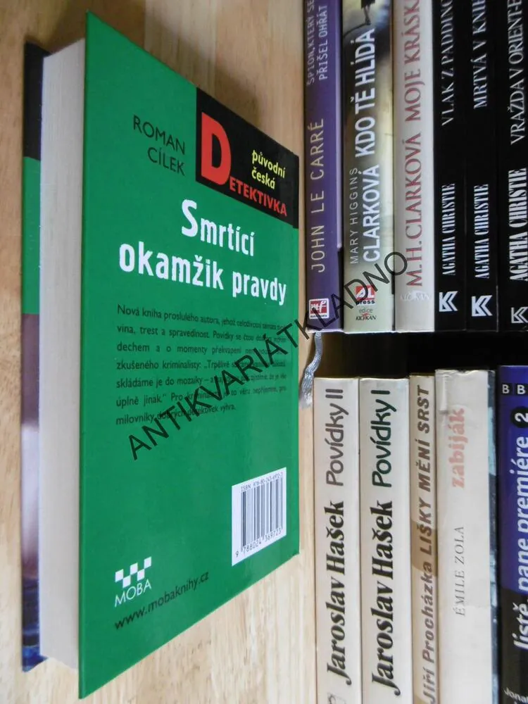 SMRTÍCÍ OKAMŽIK PRAVDY, ROMAN CÍLEK