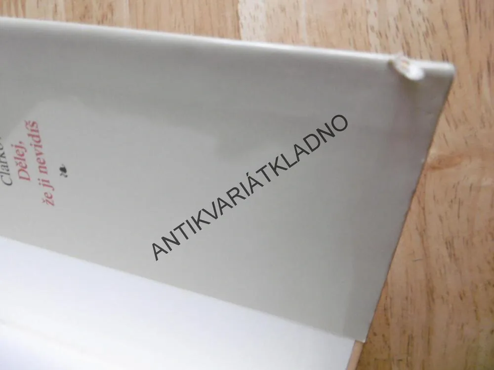 MOJE KRÁSKA SPÍ, MARY HIGGINS CLARKOVÁ, **an