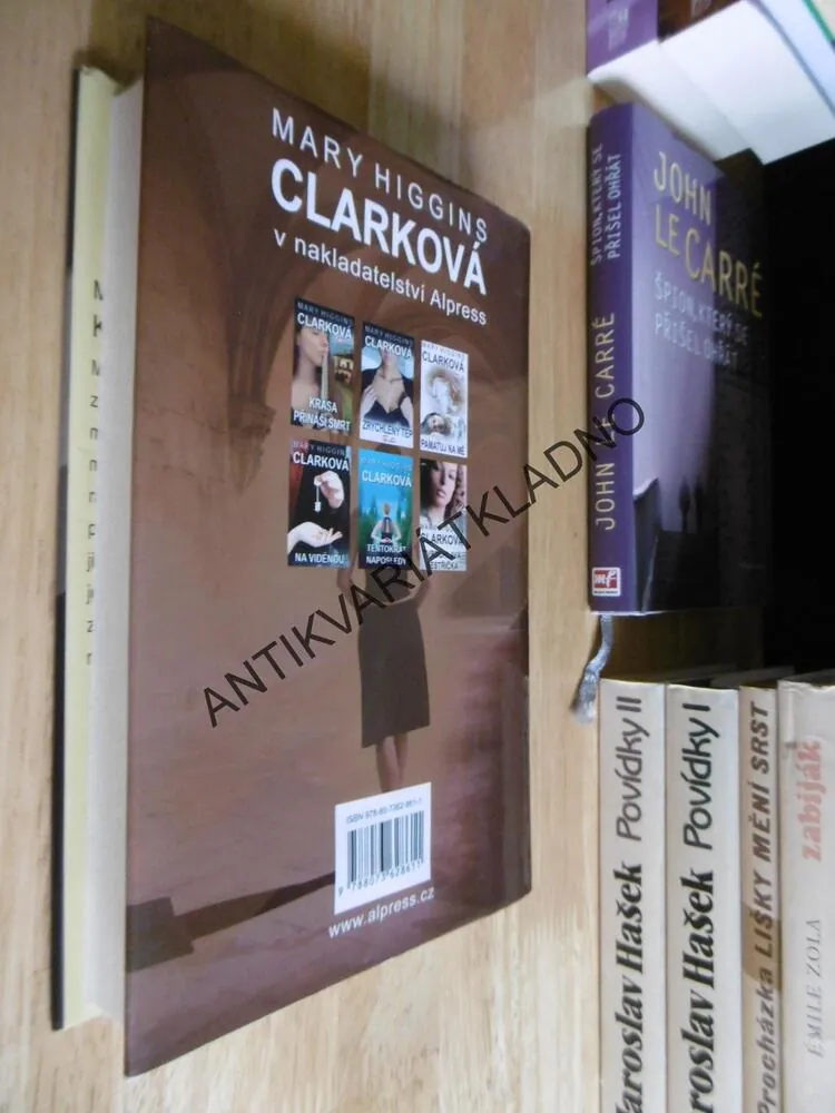 KDO TĚ HLÍDÁ, MARY HIGGINS CLARKOVÁ