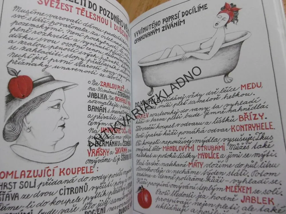 DOMÁCÍ ŠTĚSTÍ ANEB JAK SI SPRÁVNĚ V ŽIVOTĚ VÉSTI, IVA HÜTTNEROVÁ, **an