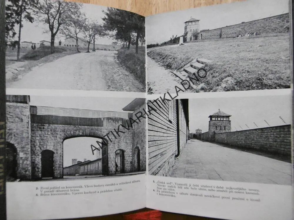 MAUTHAUSEN, VÁCLAV BERDYCH, HISTORIE ODBOJE VĚZŇŮ V KONCENTRAČNÍM TÁBOŘE