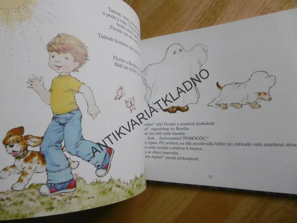SÁŘINY PŘÍBĚHY PRO HOLČIČKY, SARAH KAY, **an