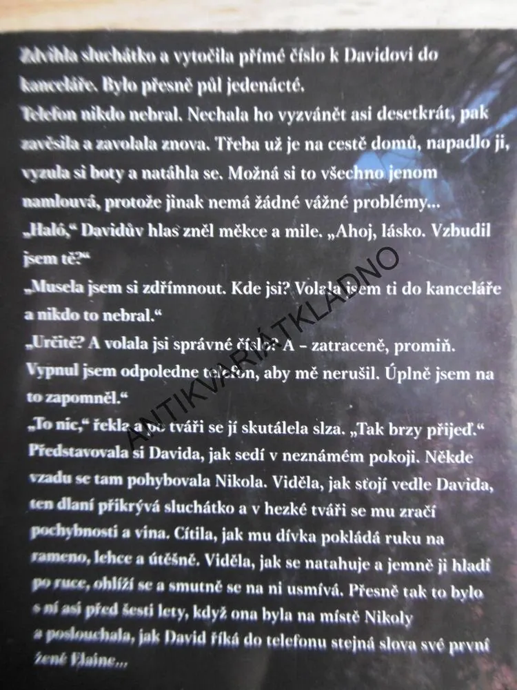 TA DRUHÁ, JOY FIELDINGOVÁ, **an