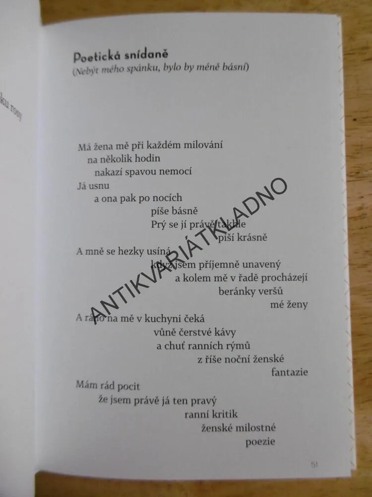 HLEDÁM SVŮJ RÝM, ANDREA PLATZNEROVÁ, **an