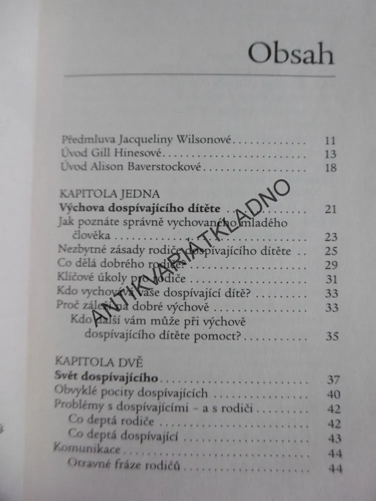 NEBOJTE SE VYCHOVÁVAT, KAŽDODENNÍ PRŮVODCE SVĚTEM DOSPÍVAJÍCÍCH, HINESOVÁ