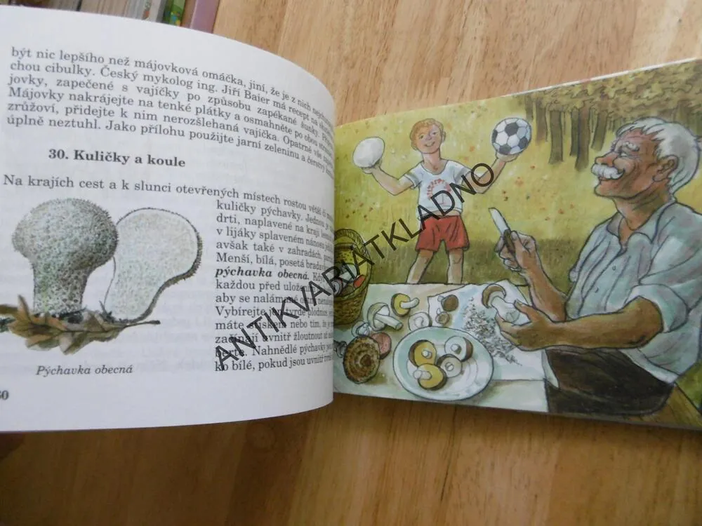 HOUBAŘSKÉ POČTENÍČKO, TOMÍK DĚDA A HOUBY, JAROSLAV K.MAN, VANČURA
