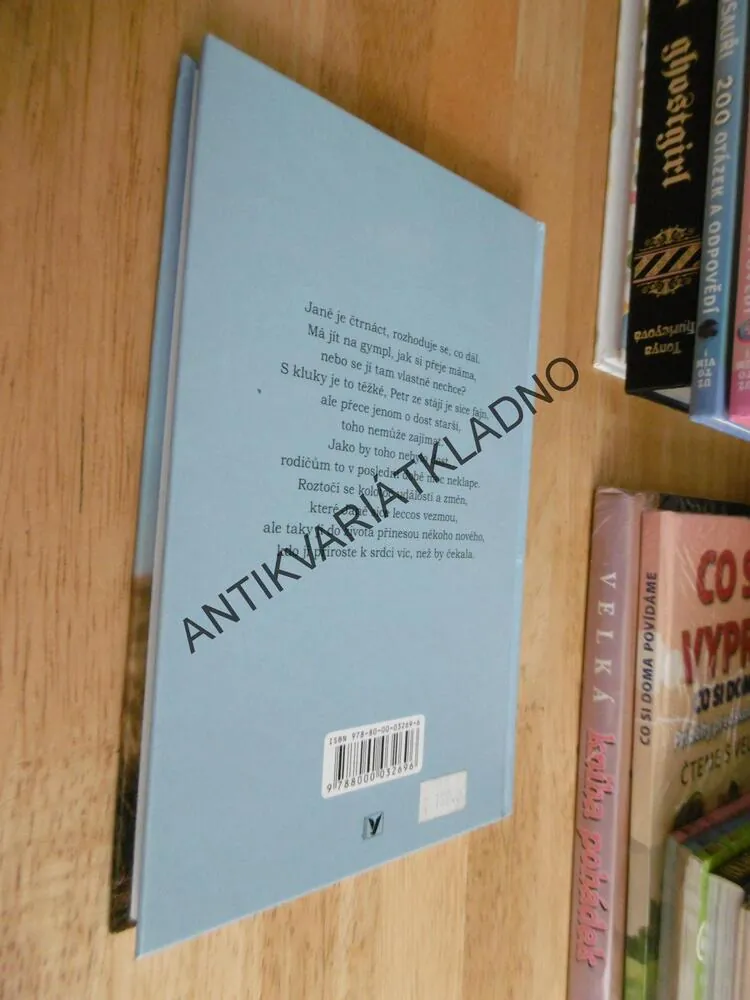 MALÉ VĚCI, VELKÉ VĚCI, MARTINA DRIJVEROVÁ, **an