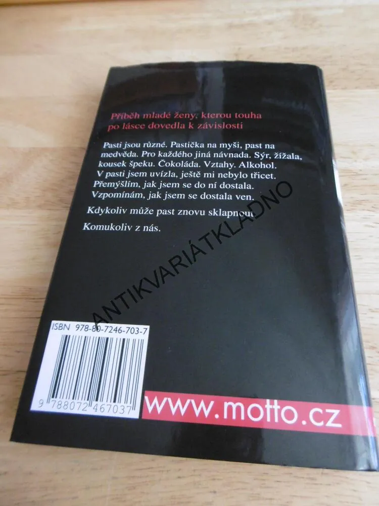 KARLA V PASTI, BEÁTA MATYÁŠOVÁ, **an