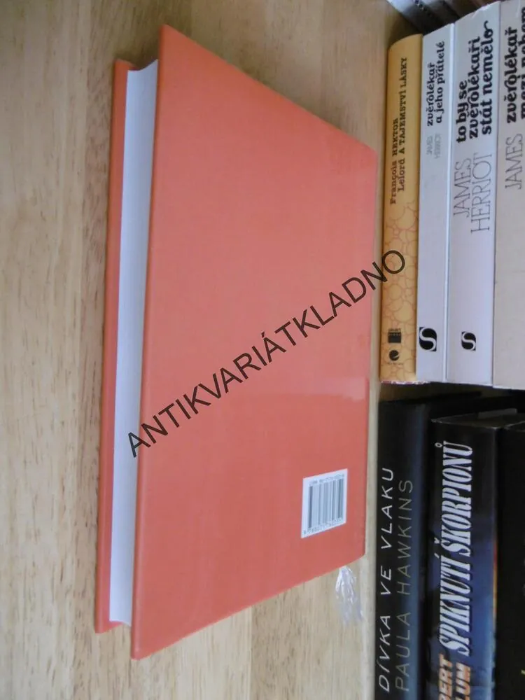 HOŘÍCÍ RÁJ, BELVA PLAINOVÁ, **an