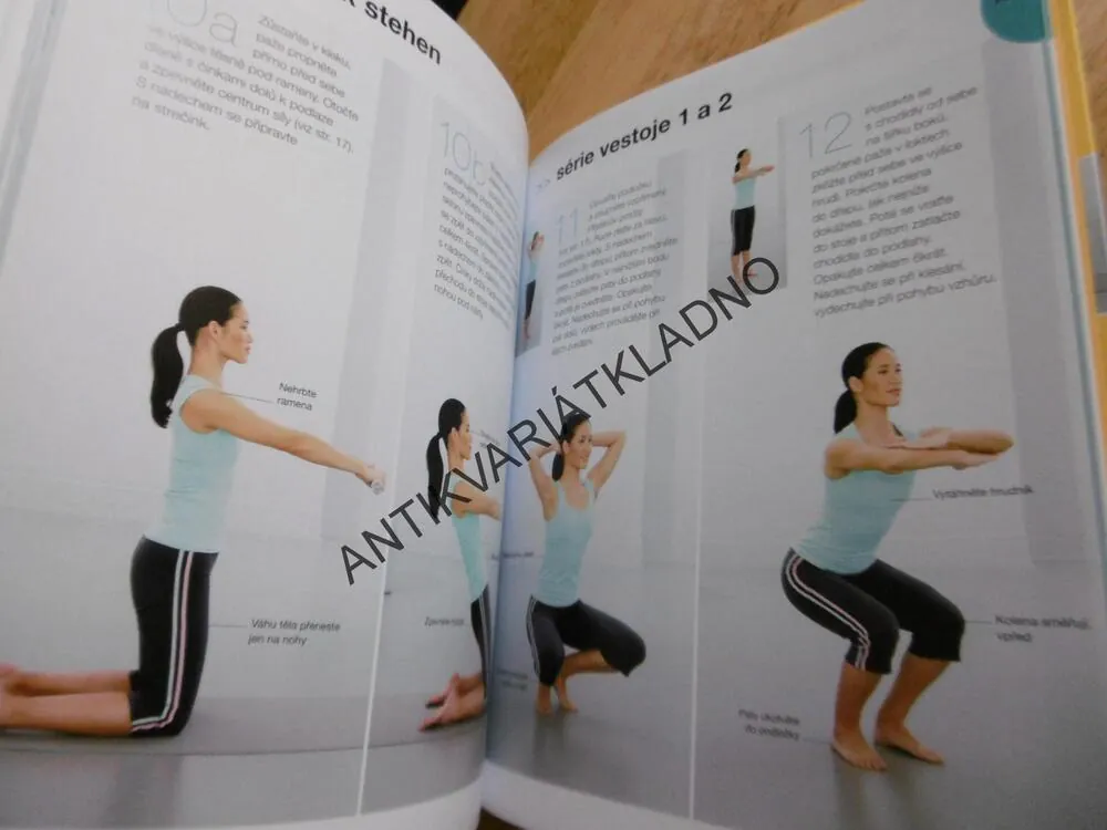 PILATES 15 MINUT DENNĚ, CVIKY PRO VŠECHNY ÚROVNĚ ZDATNOSTI, SPORT,CVIČENÍ+ DVD