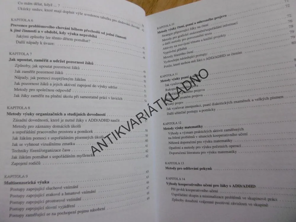 NESOUSTŘEDĚNÉ A NEKLIDNÉ DÍTĚ VE ŠKOLE, RIEFOVÁ