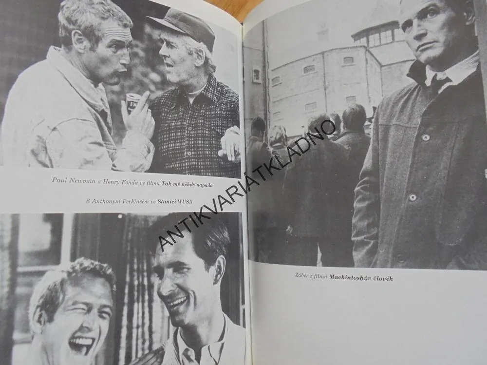 PAUL NEWMAN A JOANNE, HEREC FILM