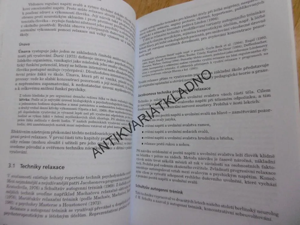 POZORNOST, MOTIVACE, RELAXACE A TVOŘIVOST DĚTÍ VE ŠKOLE, LOKŠOVÁ,