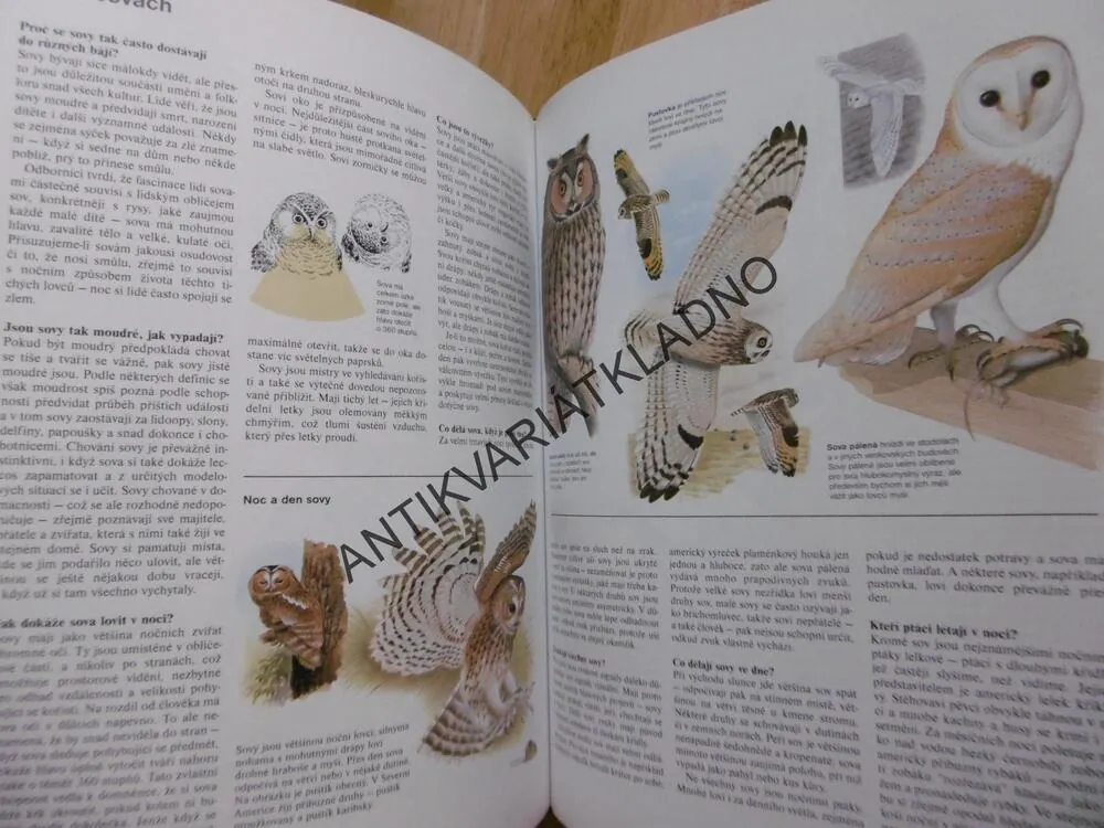 ABC PŘÍRODY, SVĚT V OTÁZKÁCH A ODPOVĚDÍCH, **an