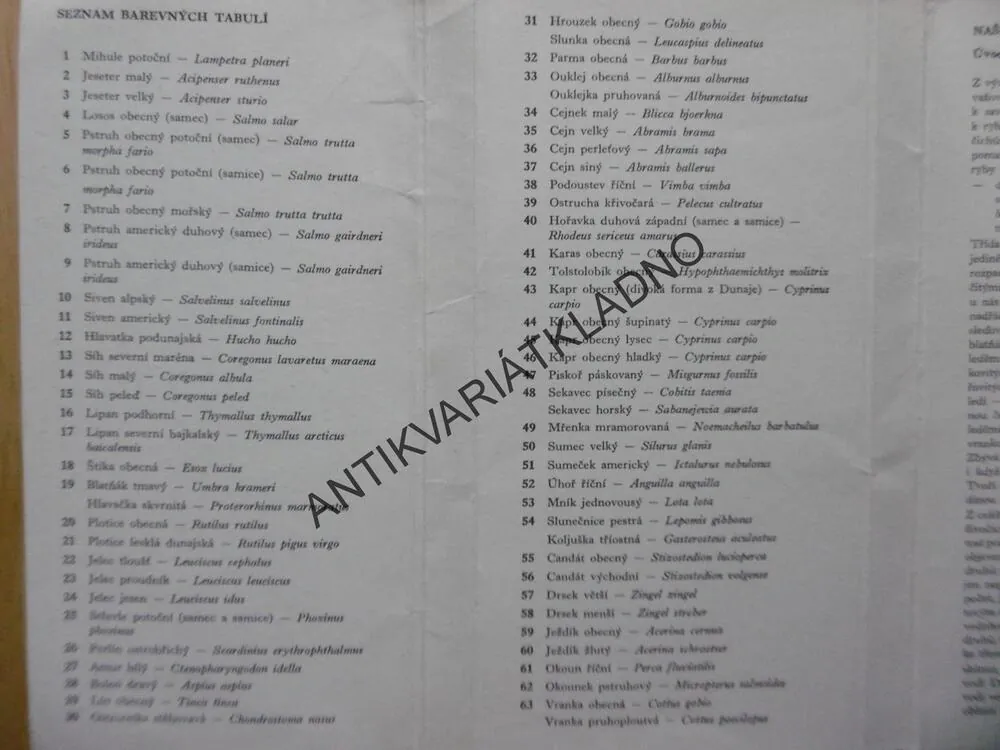 NAŠE RYBY, SOUBOR KARET 55 KS ZE 63 