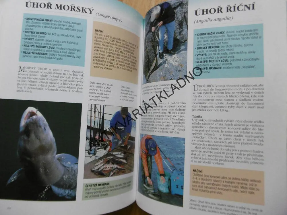 VŠECHNO O RYBAŘENÍ, PURNELL, YATES, DAWN, **an