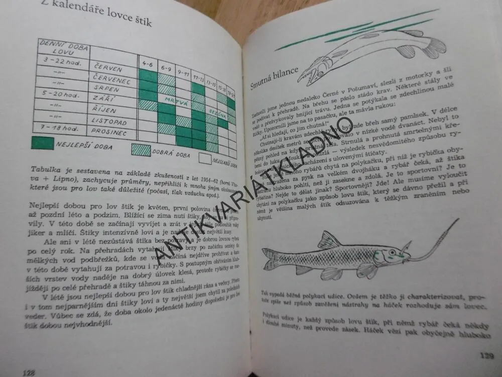 NA RYBÁŘSKÉ STEZCE, NOVÝ, HÍSEK, **an