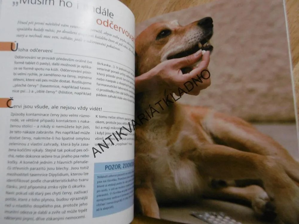 PES SENIOR, ZDRAVÍ, CHOVÁNÍ, PÉČE, STRAVA, MULLEROVÁ, **an