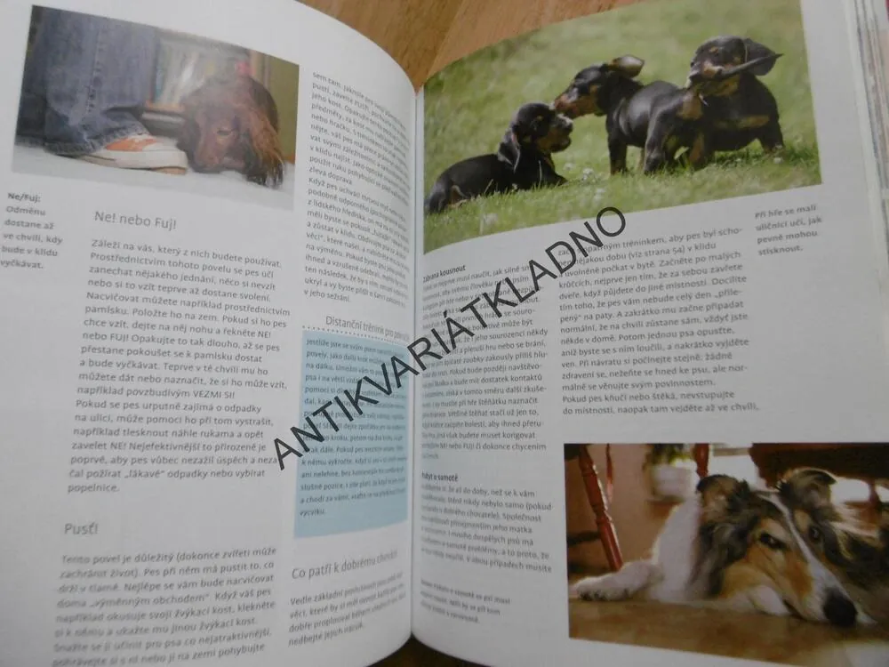 ABECEDA PÉČE O PSA, BOHATSTVÍ RAD A NÁPADŮ, SCHMIDT-RÖGEROVÁ, **an